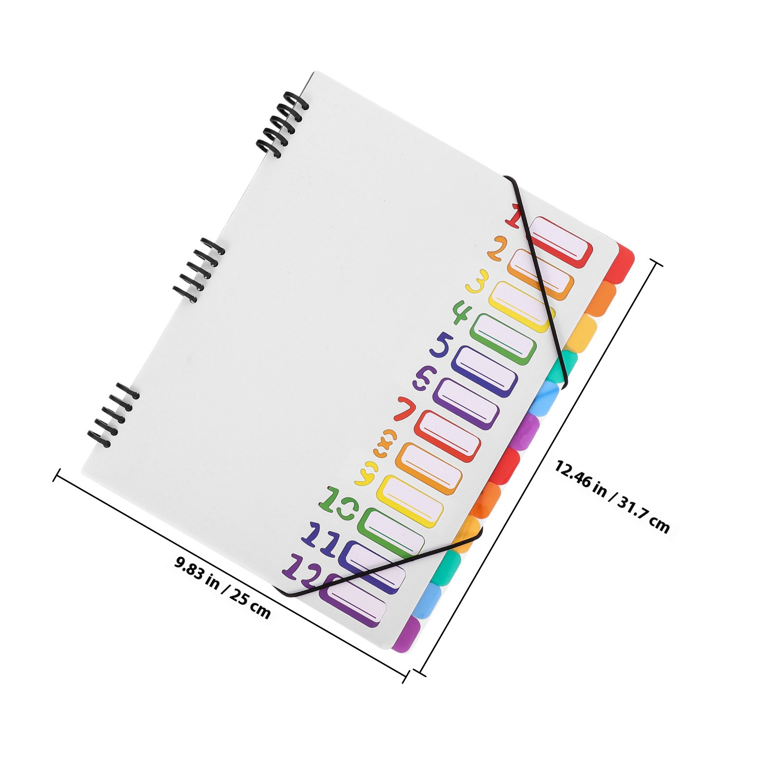 A4ドキュメントオーガナイザーファイルバインダー（カラーディ - Tab Divider A4 のレビューと価格